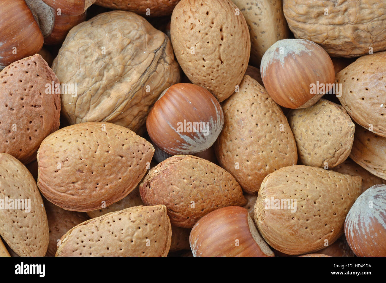 Mix Nüsse: Walnüsse, Mandeln und Haselnüsse Stockfoto