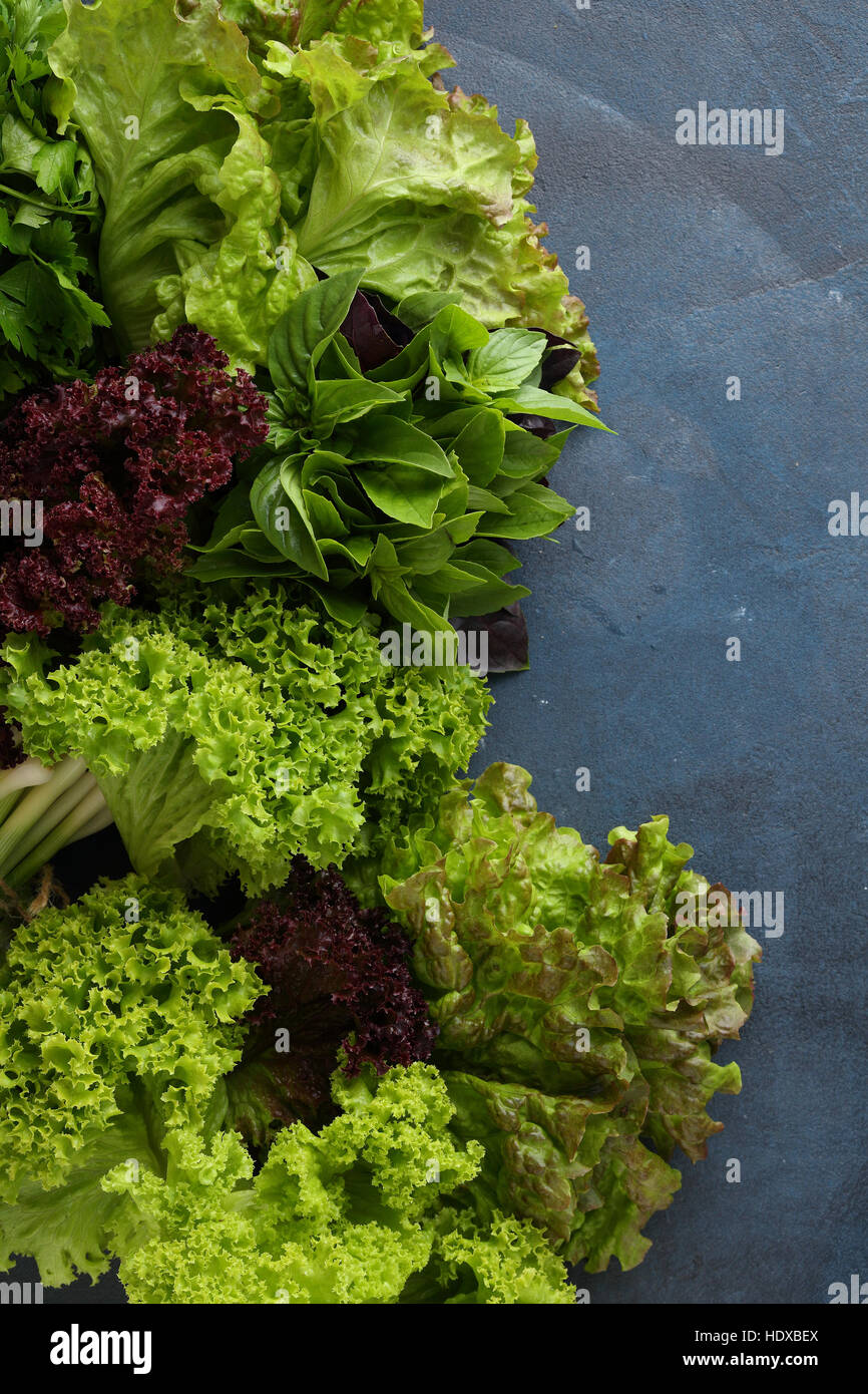 Blauer Hintergrund Essen mit Salat, Basilikum Stockfoto