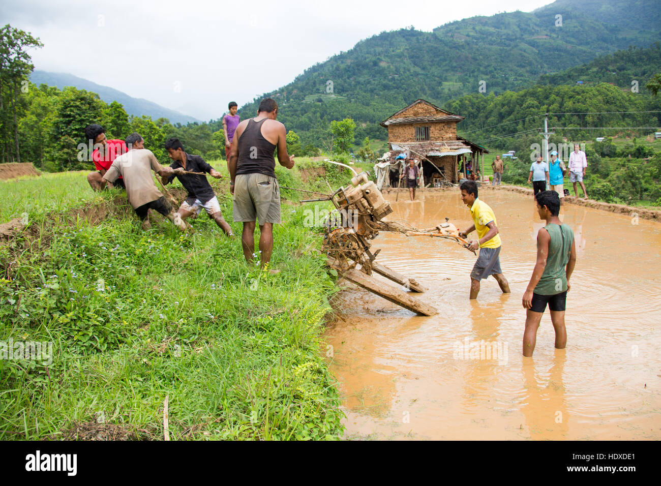 Schleppen eine Pinne zur Verfügung gestellt von einem USAID finanzierten Programm in Nuwakot Bezirk, Nepal Stockfoto