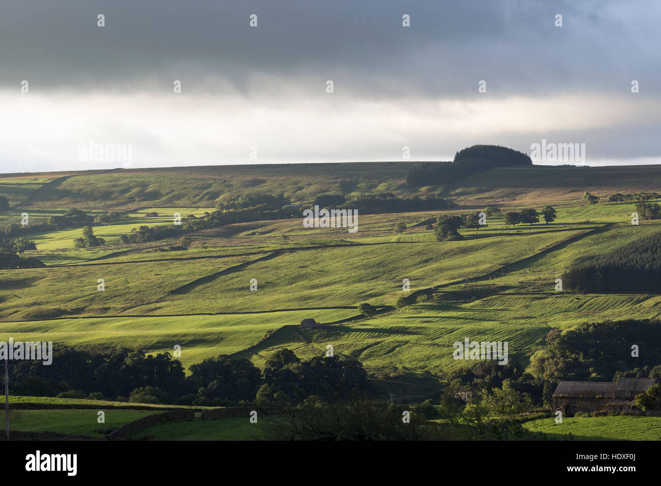 South Tyne Valley - der Tal-Südseite unten Plenmeller gemeinsamen viele Zeichen der Vergangenheit, kleine zeigt Mineralextraktion Stockfoto