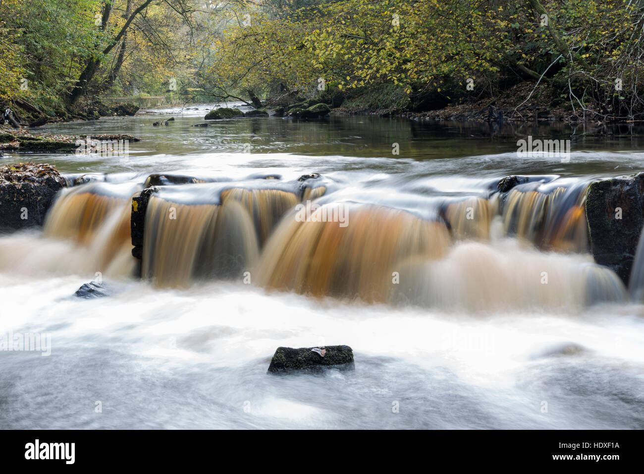 Der Fluß Irthing in Combcrag Holz, Cumbria, England Stockfoto