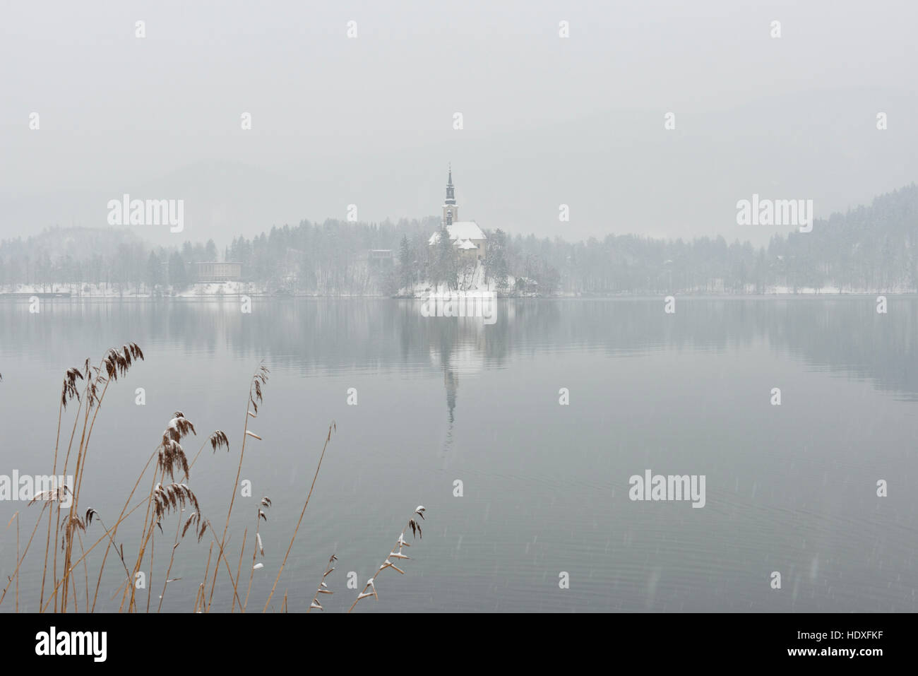 See im Winter, Julischen Alpen, Slowenien Bled Stockfoto