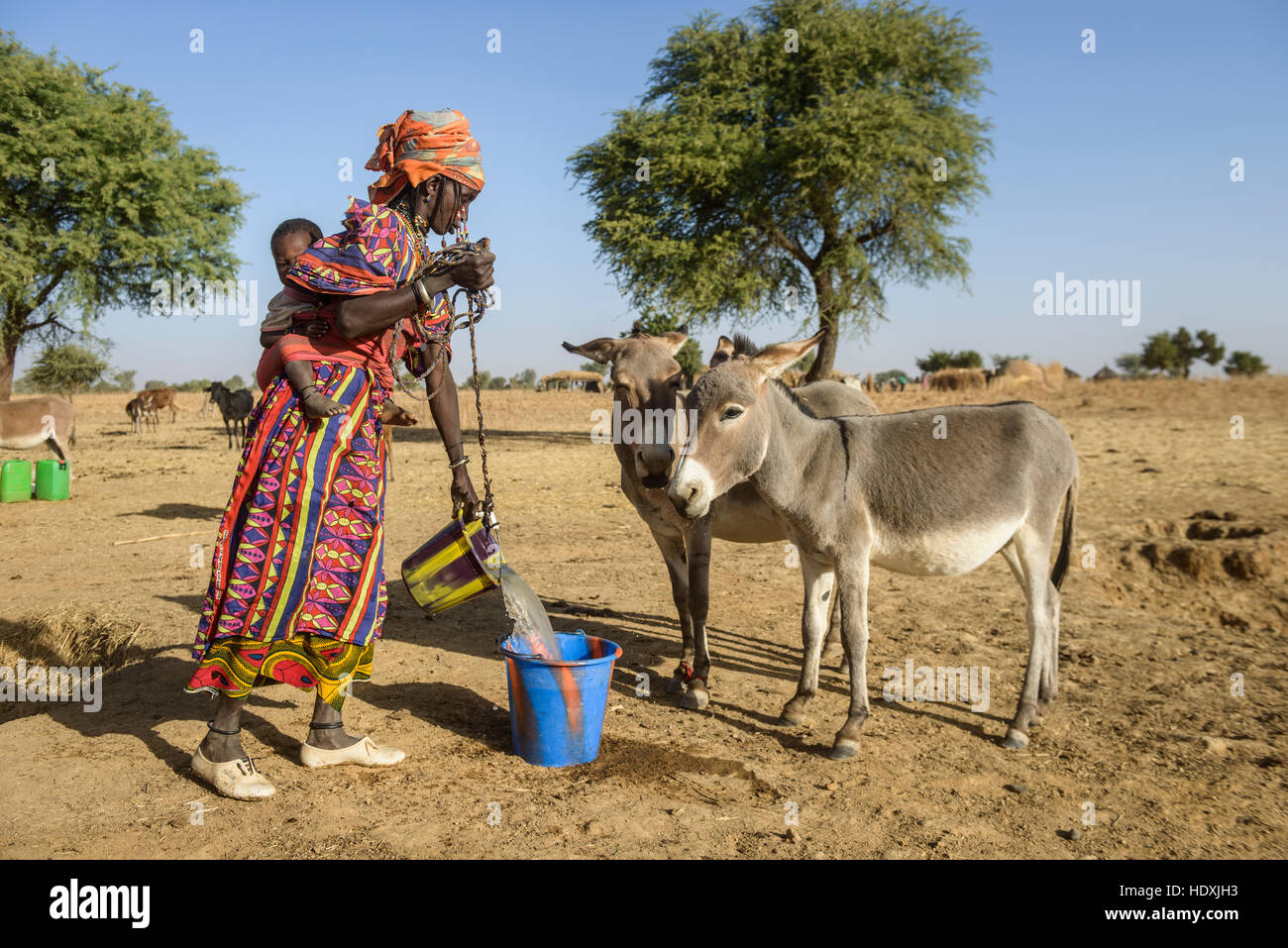 Fulani-Frauen sammeln von Wasser aus einem Loch in der Sahelzone, Burkina Faso Stockfoto