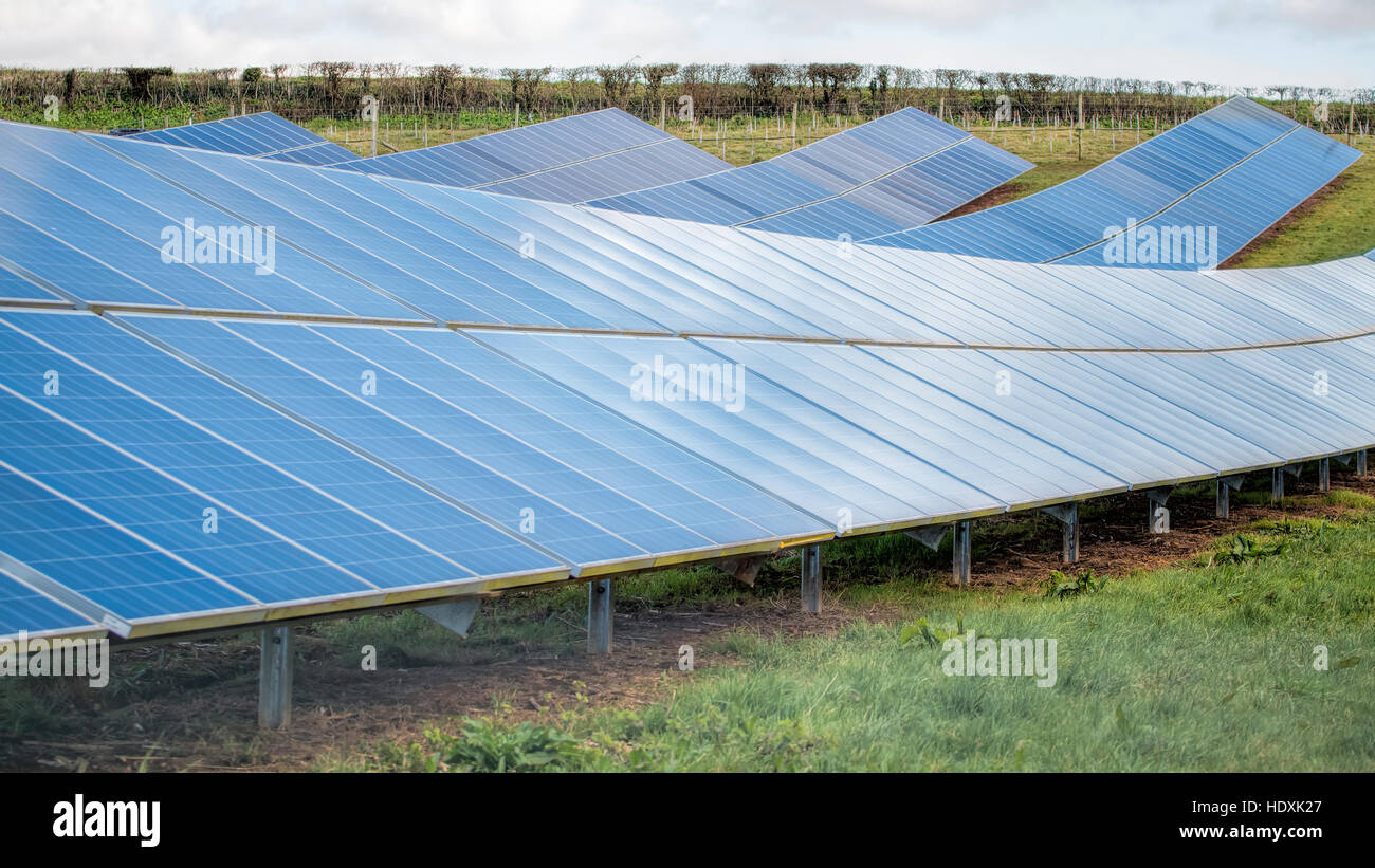 Sonnenkollektoren im Solarpark-Kraftwerk. Nachhaltige Energien. Stockfoto