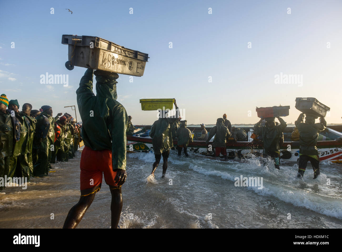 Fischer, Hausierer, Boote in Nouakchott des berühmten Fischmarkt Stockfoto
