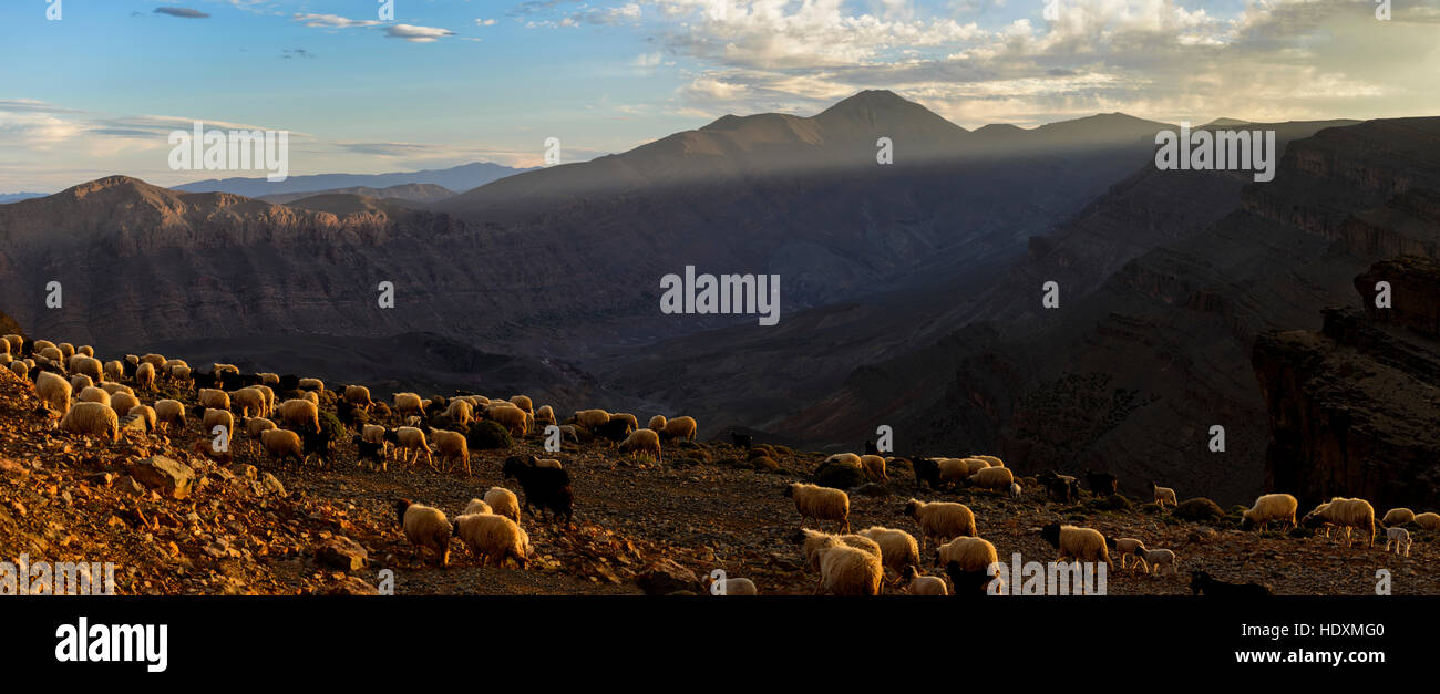 Schluchten des Hohen Atlas, Marokko Stockfoto