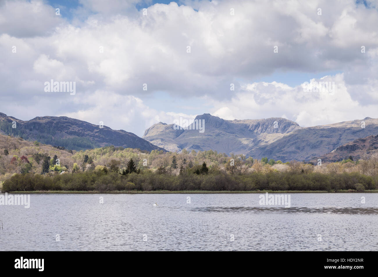 Elterwater und Langdale Pikes. Stockfoto