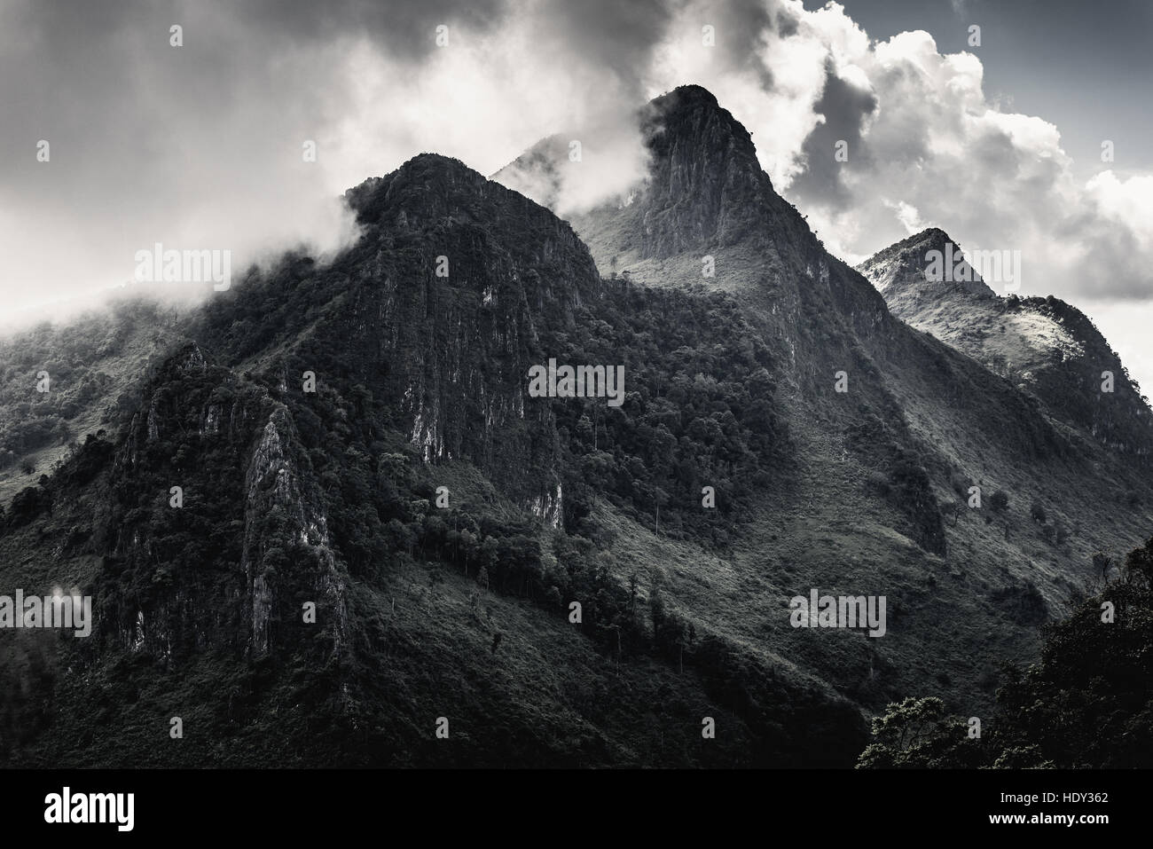 hohe Berge in den Wolken Stockfoto