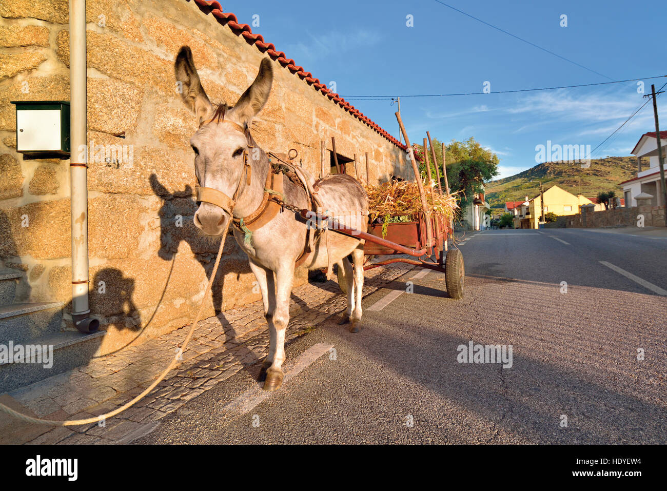 Portugal: Esel mit Wagen vor einem traditionellen Granit-Stein-Haus Stockfoto