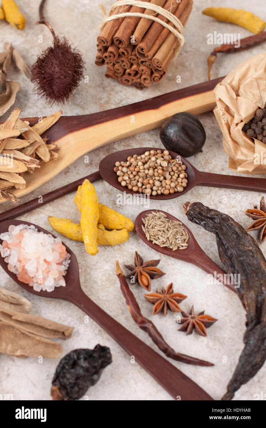 Gewürzsammlung auf weißlichem Hintergrund: chili-Paprika, Sternanis, Koriander, rosa Salz, Kurkuma, schwarzer Kalk usw. Stockfoto