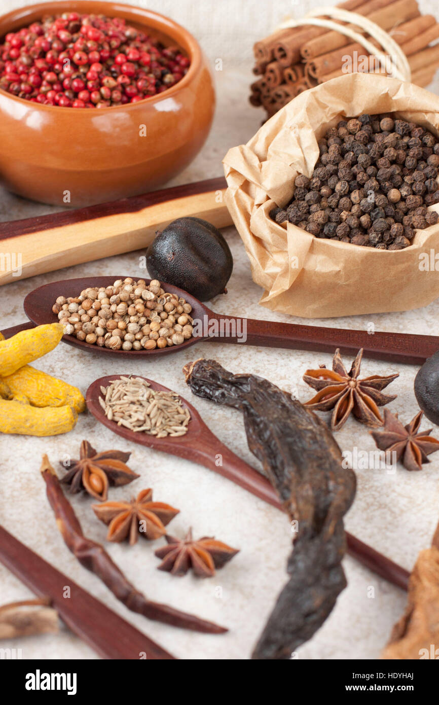 Gewürze - Sternanis, Chili, Pfeffer, Zimt, Kurkuma und sonst auf Löffel und über eine rustikale weißlich Hintergrund Stockfoto