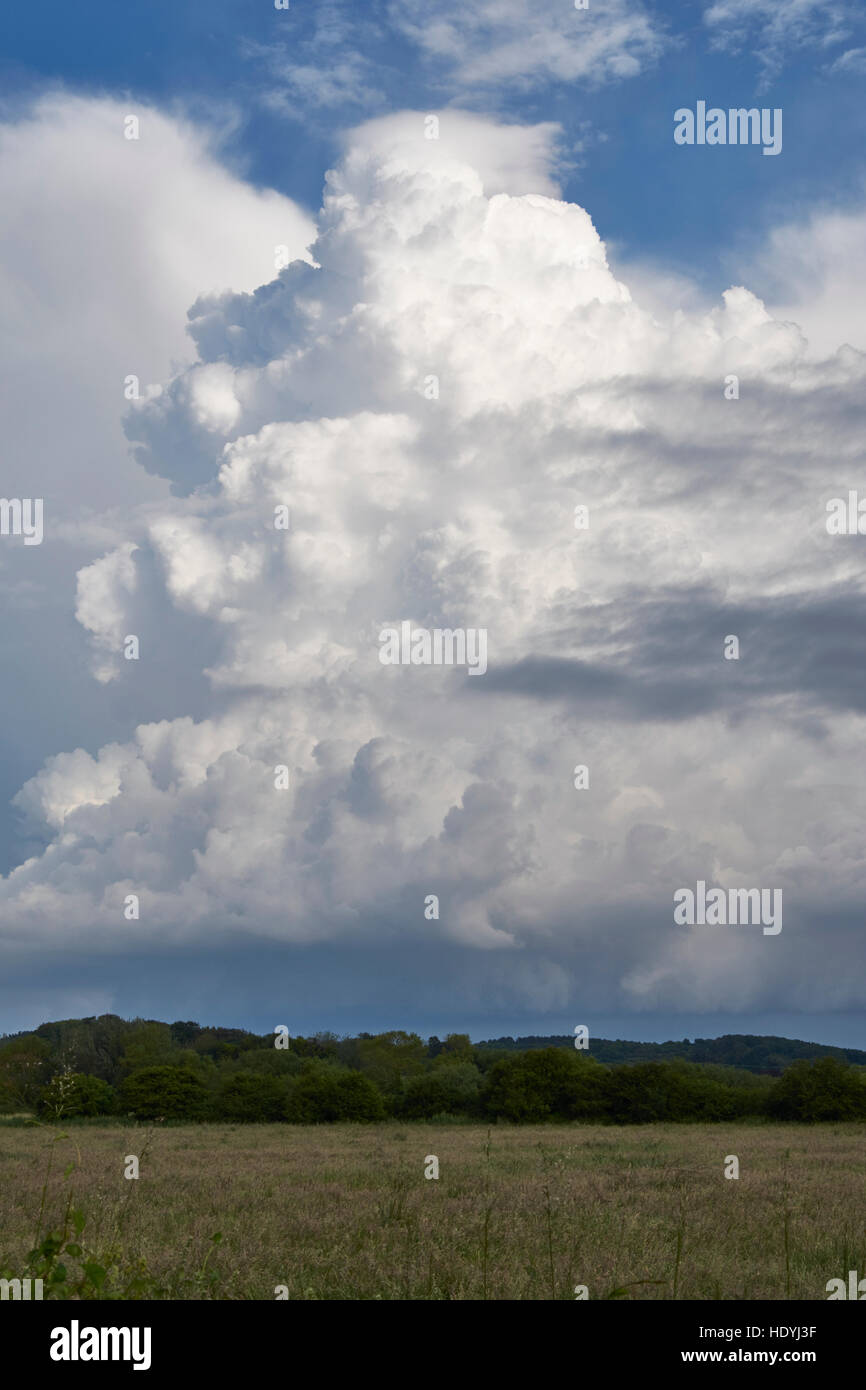 Wiveton in North Norfolk überragt gestapelten Cumulonimbus Wolken. Mitten im Sommer. Stockfoto