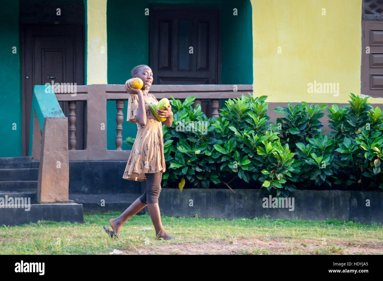 Afrikanisches Mädchen, das Papaya und Gemüse trägt Stockfoto