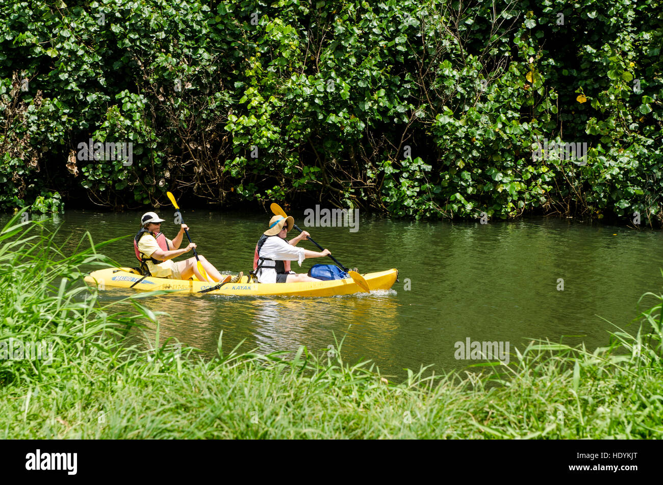 Kajakfahren auf dem Wailua River, Kauai, Hawaii. Stockfoto