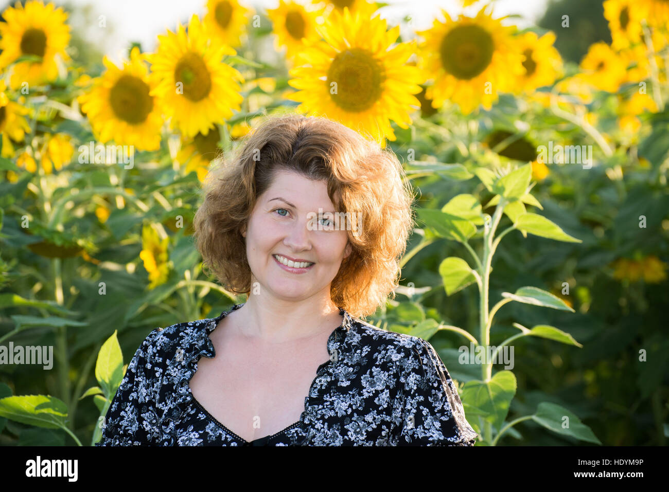Schöne lockige Frau im Feld von Sonnenblumen Stockfoto
