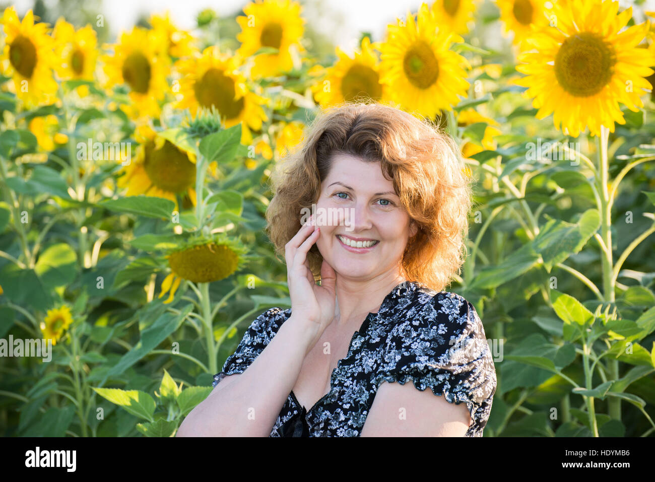 Schöne lockige Frau im Feld von Sonnenblumen Stockfoto
