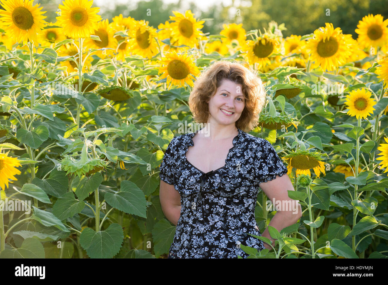 lockige Frau im Feld von Sonnenblumen Stockfoto