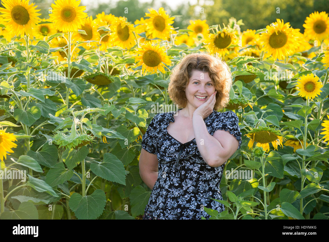 lockige Frau im Feld von Sonnenblumen Stockfoto