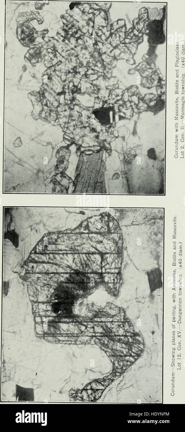 Die Nepheline und die damit verbundenen Alkali Syenite von Ostontario (1909) Stockfoto