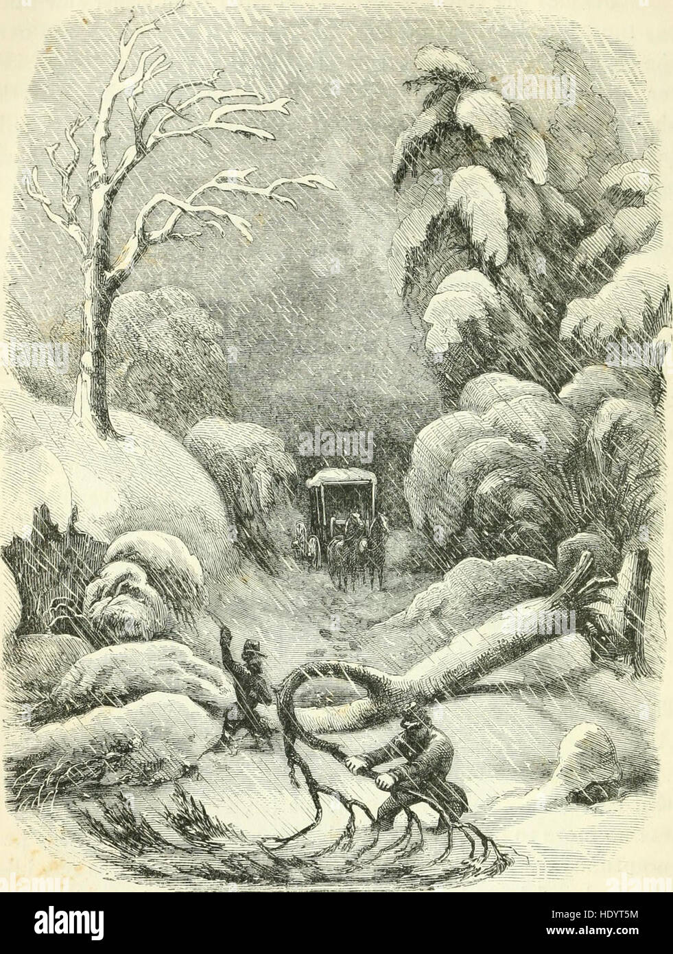 Virginia illustriert - mit einem Besuch in das Virginian Kanaan und die Abenteuer von Porte Zeichenstift und seine Cousins (1857) Stockfoto