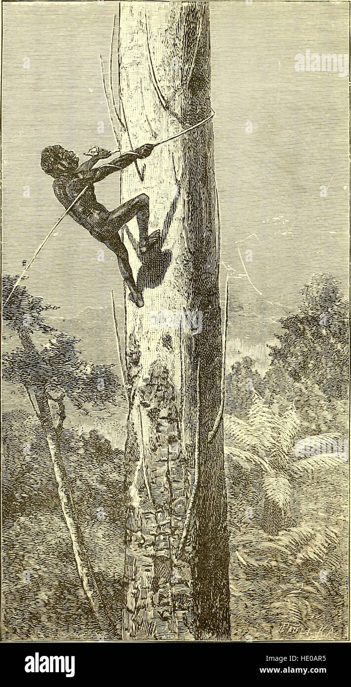 Unter Kannibalen; einem Bericht von vier Jahren Reisen in Australien und Lagerleben mit den Aborigines von Queensland; (1889) Stockfoto