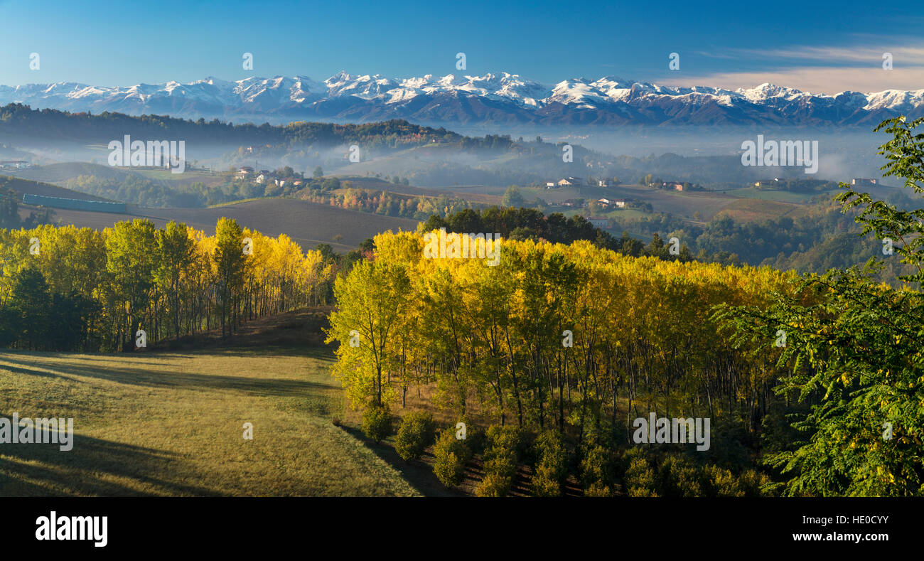 Herbst-Blick über die Po-Ebene bis zu den ligurischen Alpen in der Nähe von Monforte d ' Alba, Piemont, Italien Stockfoto