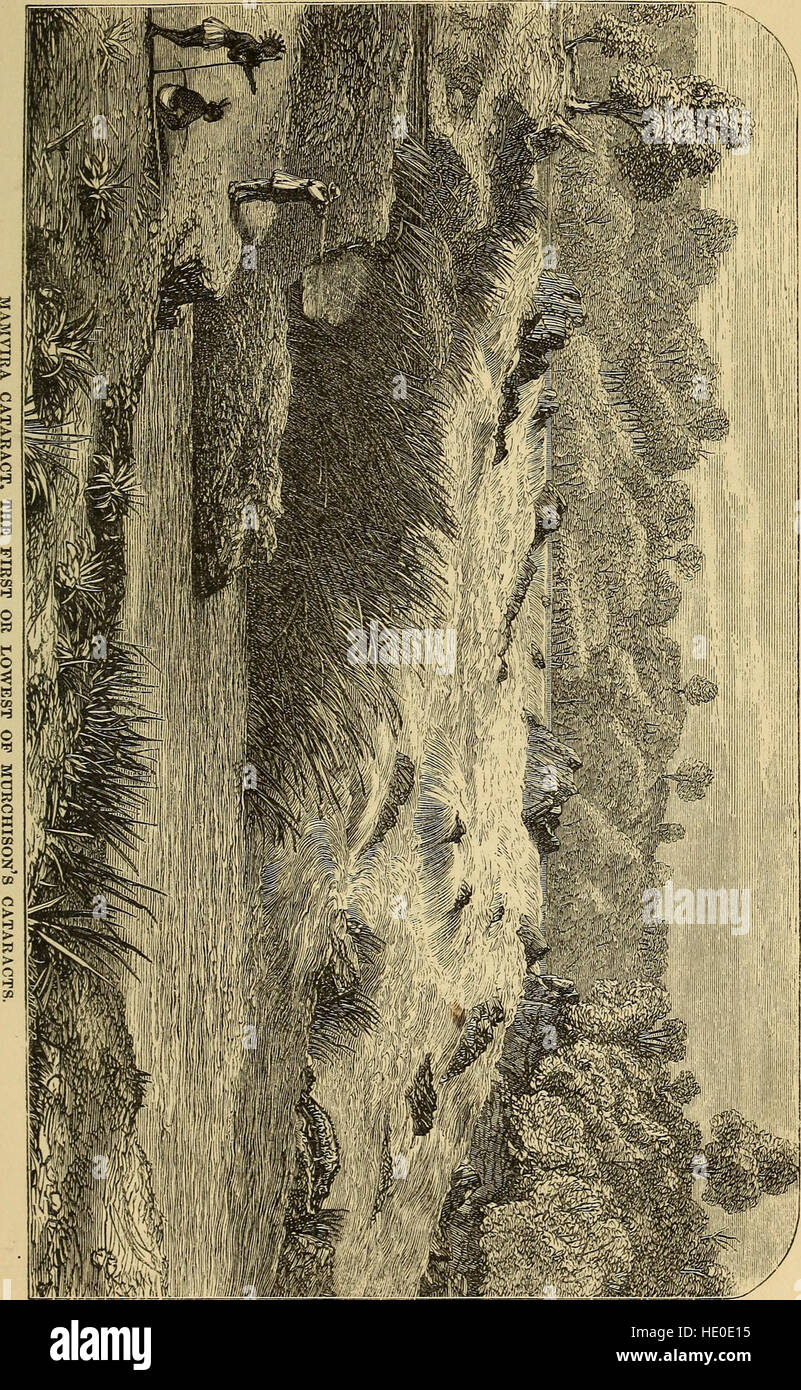 *Erzählung einer Expedition zum Sambesi* (1893) erzählt die Erkundung des Sambesi-Flusses und seiner Nebenflüsse und beschreibt die Entdeckung der Seen Shirwa und Nyassa während der Reise 1858-1864. Stockfoto