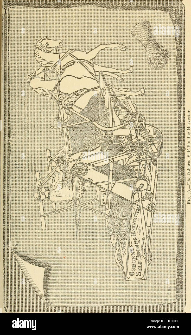 Das Journal der Leutenant John L. Hardenbergh im zweiten New York Continental regiment vom 1.Mai bis 3. Oktober 1779, im allgemeinen Sullivans Kampagne gegen die westlichen Indianer (1879) Stockfoto