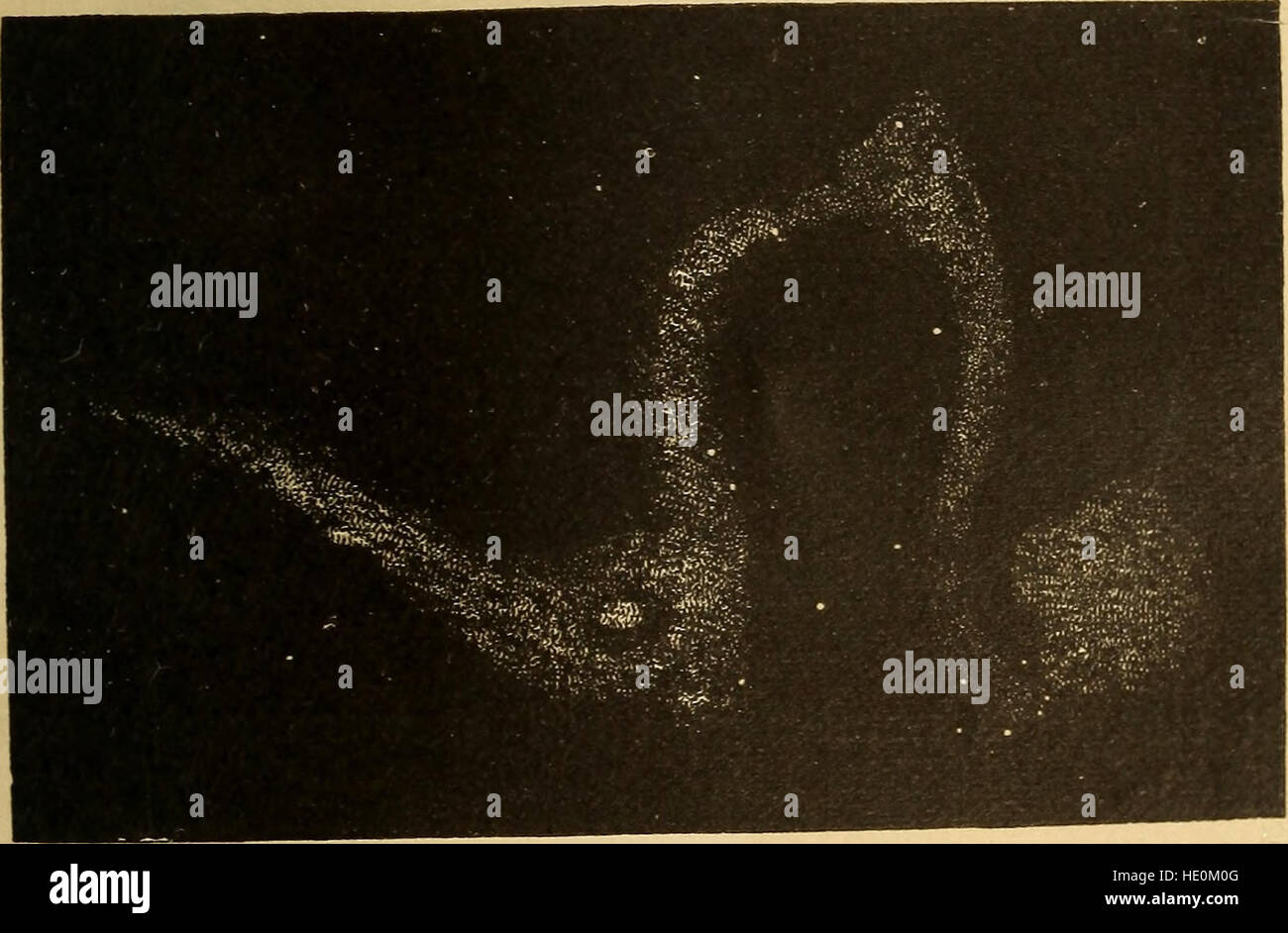 Astronomie für die Nutzung von Schulen und Akademien (1882) Stockfoto