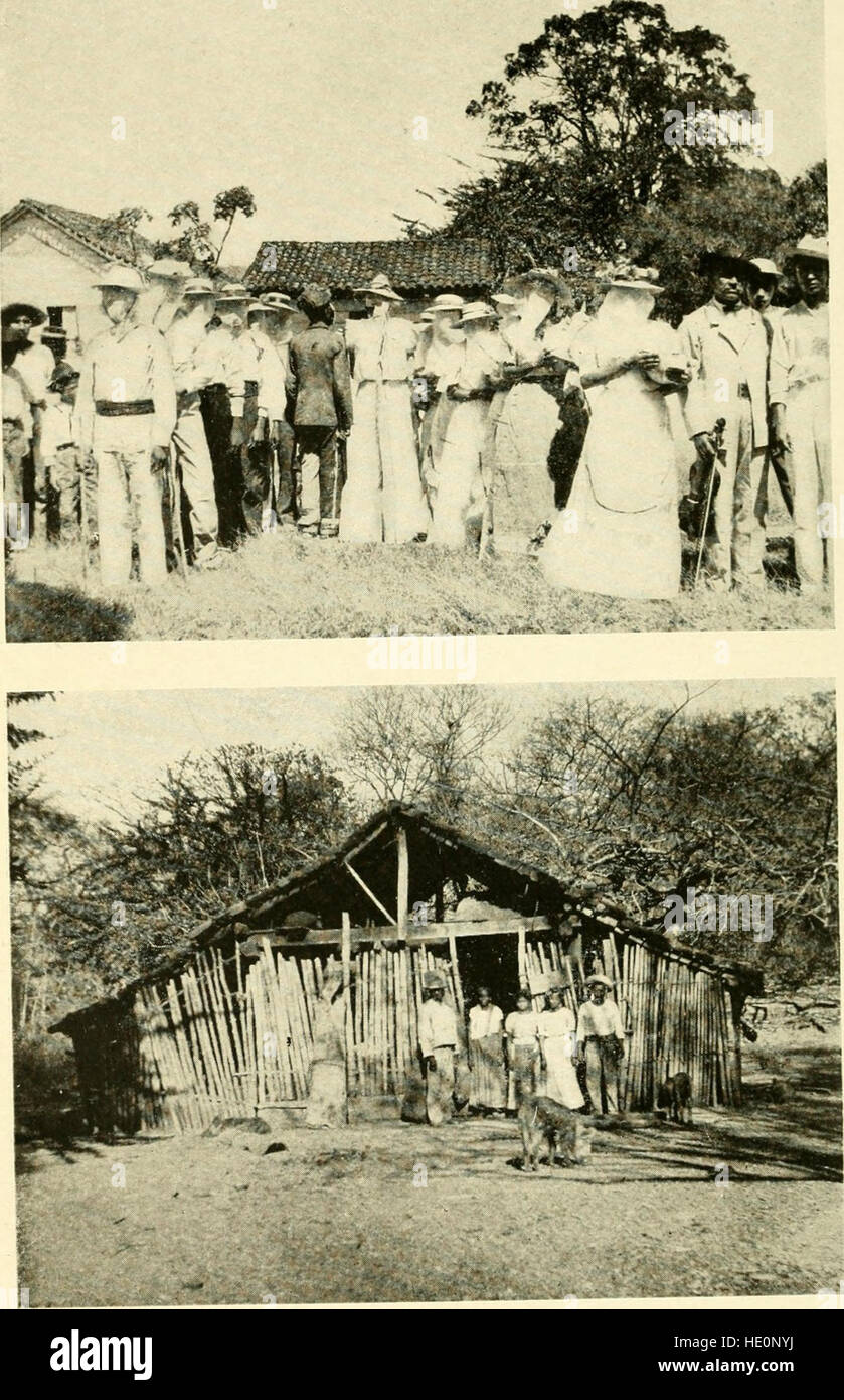 Ein Jahr der costaricanischen Naturgeschichte (1917) Stockfoto