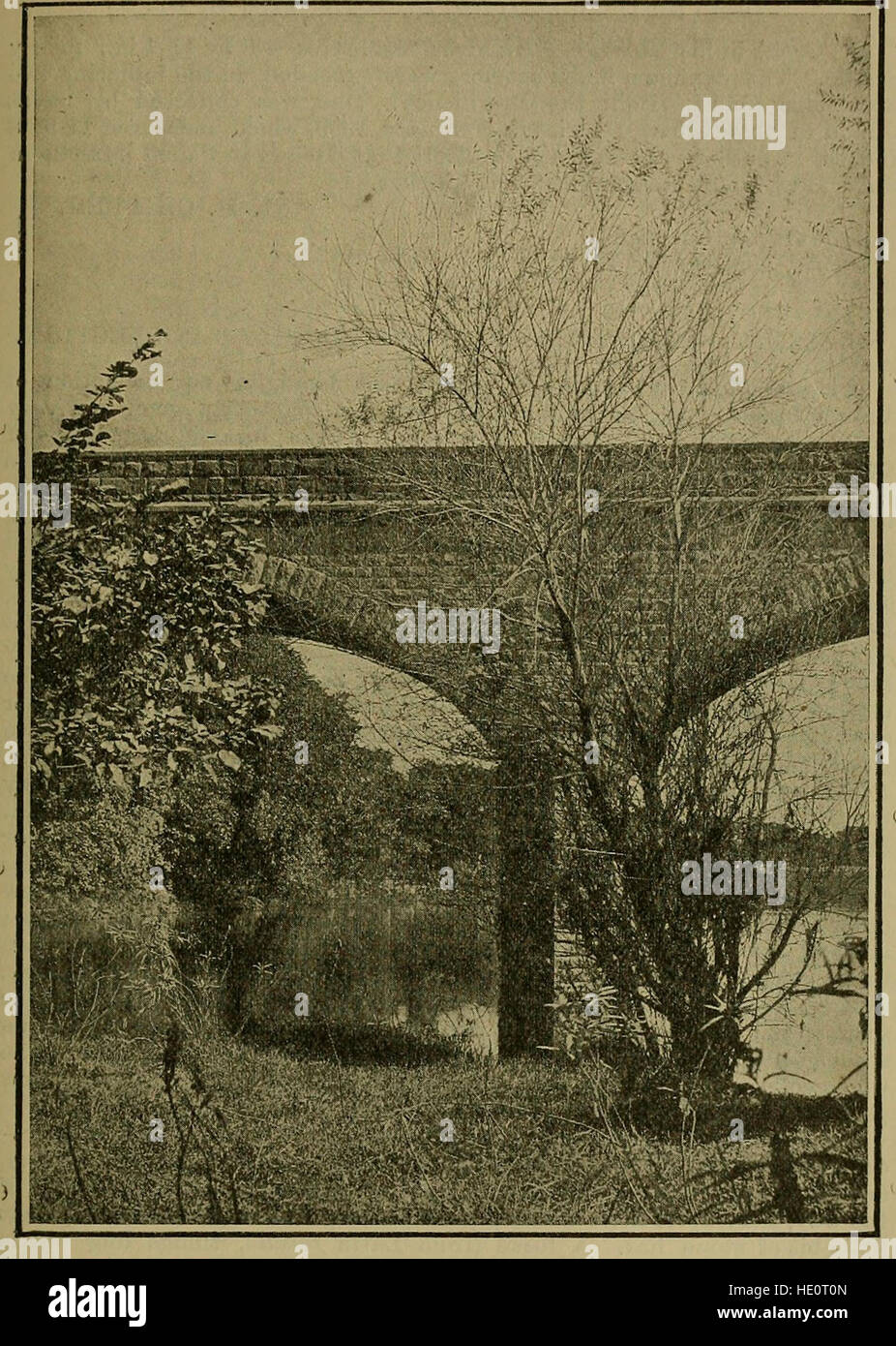 Journal of the Bombay Natural History Society (1913) Stockfoto