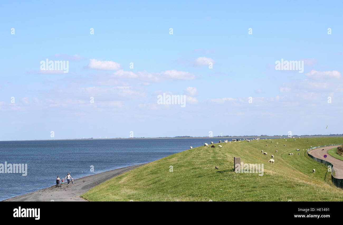 Oben auf dem Deich am Wattenmeer-Küste in der Nähe von Lauwersoog, Friesland, Niederlande Stockfoto