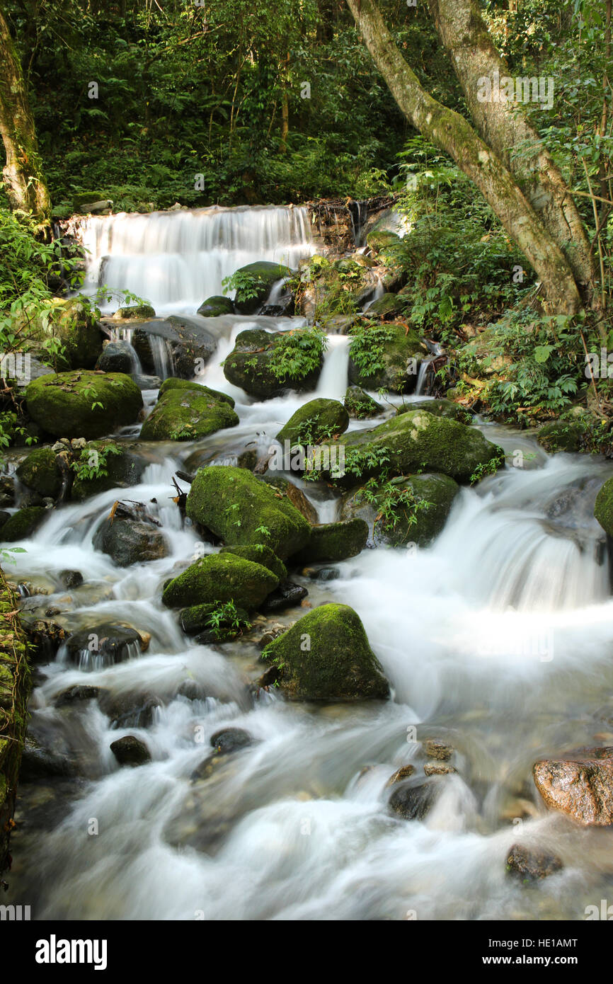 Wasserfall im Shivapuri Nagarjun National Park, am Stadtrand von Kathmandu, Nepal. Stockfoto