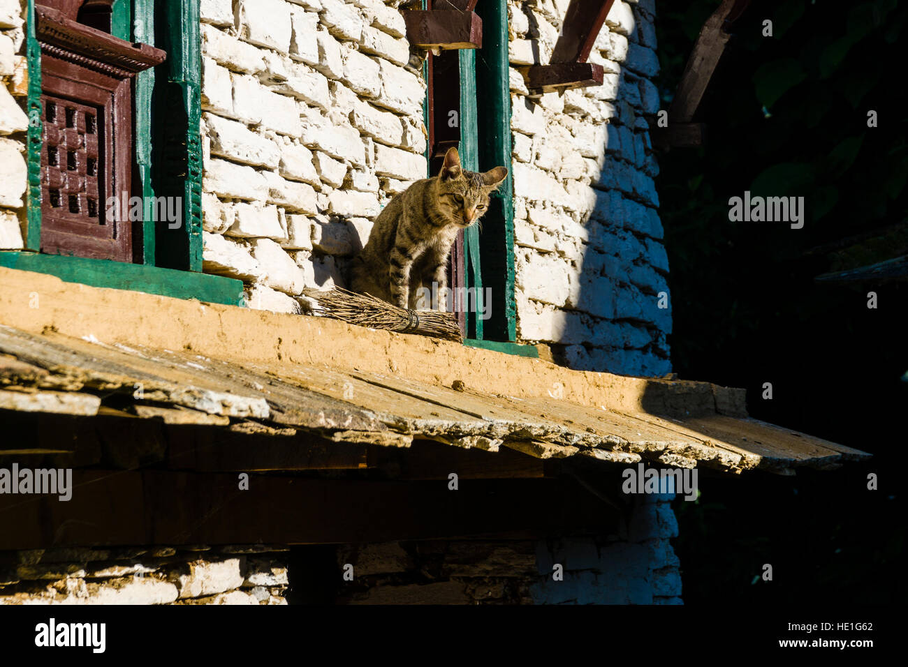 Eine Katze sitzt auf einem kleinen Dach ein Bauernhaus im historischen Dorf Stockfoto