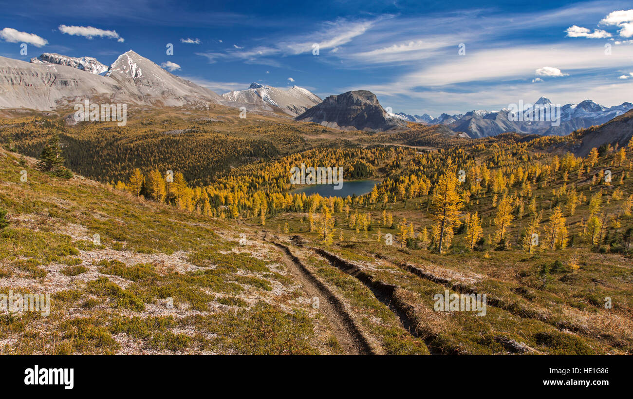 Herbstlärchen Farben Alpine Meadow Blue Valley Lake Rocky Mountains Peak Landscape Panorama. Malerische Wanderungen Im Banff National Park Canadian Rockies Stockfoto