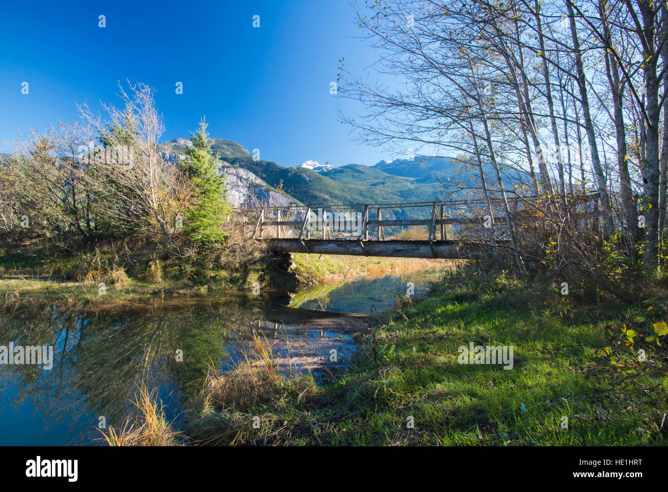 Brücke in Riverside Wetlands Park in Squamish. Stockfoto