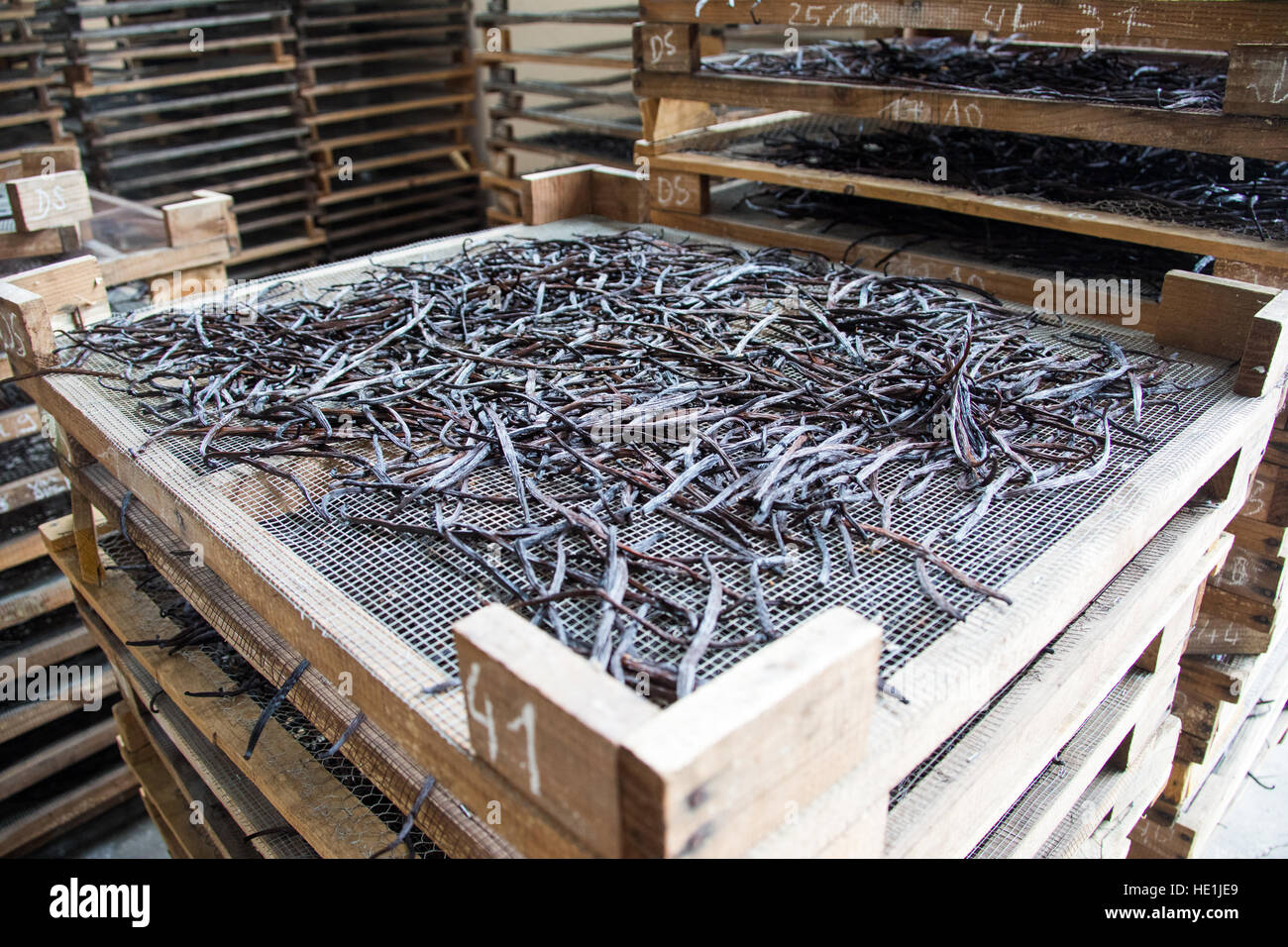 Vanille Anbau und Verarbeitung Tour Pro Vanille, Bras-Panon, Reunion Island Stockfoto