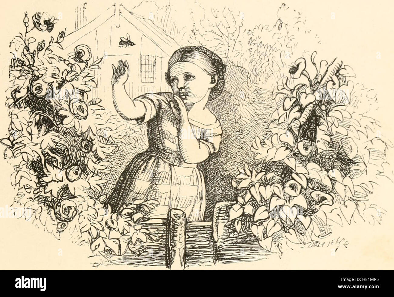 Die „Picture Fables“ von 1858 ist eine Serie illustrierter Geschichten, die moralische Lehren darstellen, die typisch für die didaktische Literatur des 19. Jahrhunderts sind. Die Bilder verwenden lebendige Illustrationen, um das Geschichtenerzählen zu verbessern, und machen es sowohl für Kinder als auch für Erwachsene interessant. Stockfoto