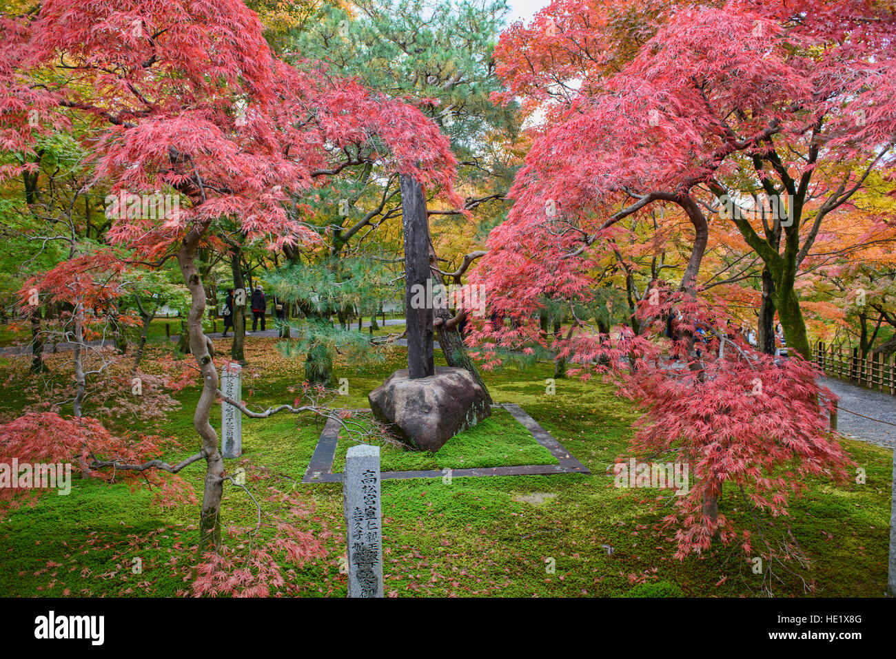 Wunderschönen Herbstfarben im Tempel Tofuku-Ji, Kyoto, Japan Stockfoto