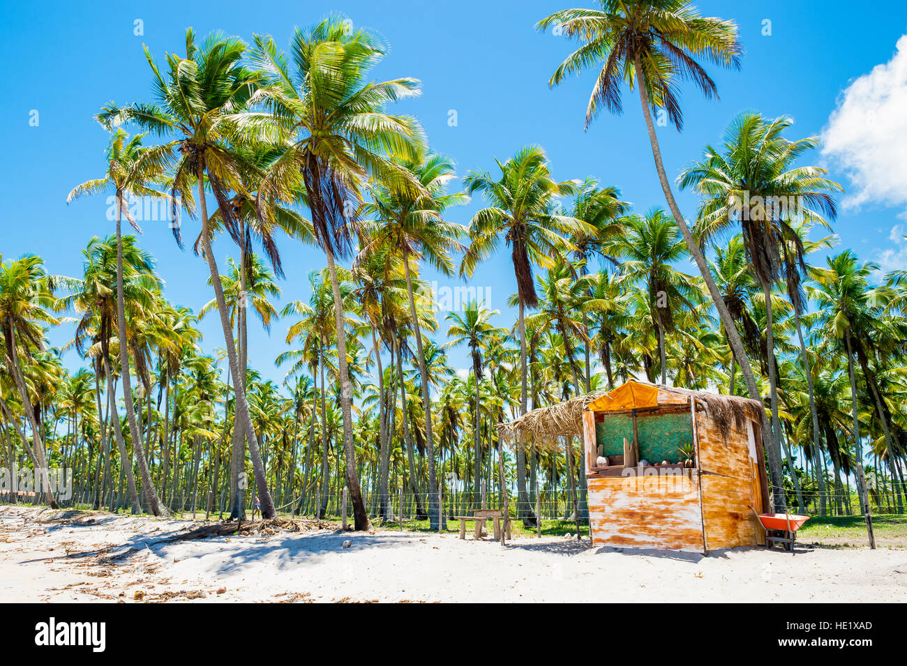 Eine rustikale brasilianischen Strand Hütte steht auf der palmengesäumten Küste von einer einsamen tropischen Insel in Bahia, Brasilien Nordeste Stockfoto