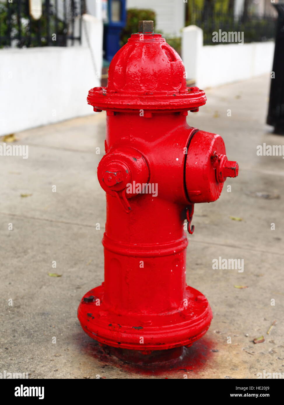 Red Fire Hydrant in Key West, Florida, USA Stockfoto
