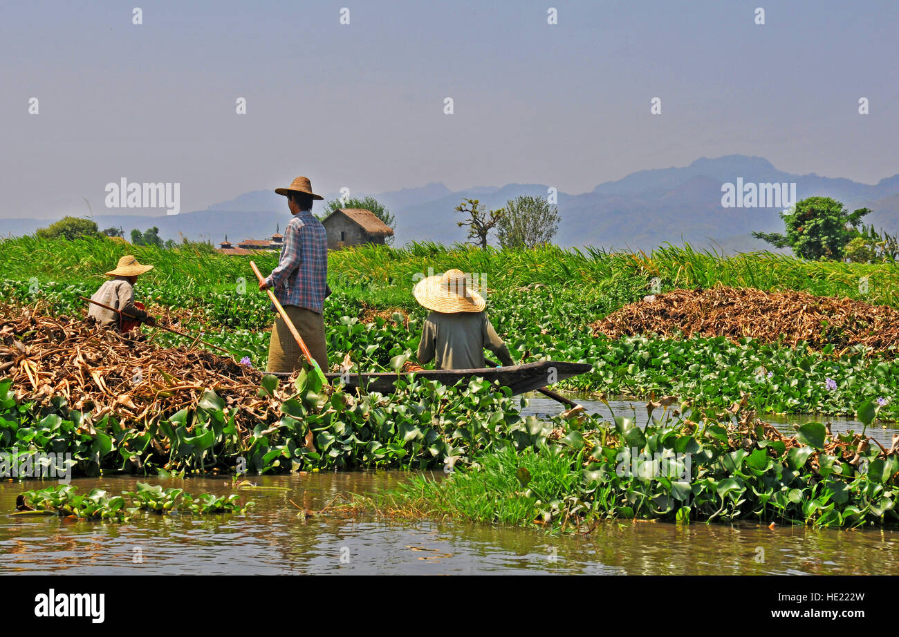 schwimmende Garten Inle-See-Myanmar Stockfoto