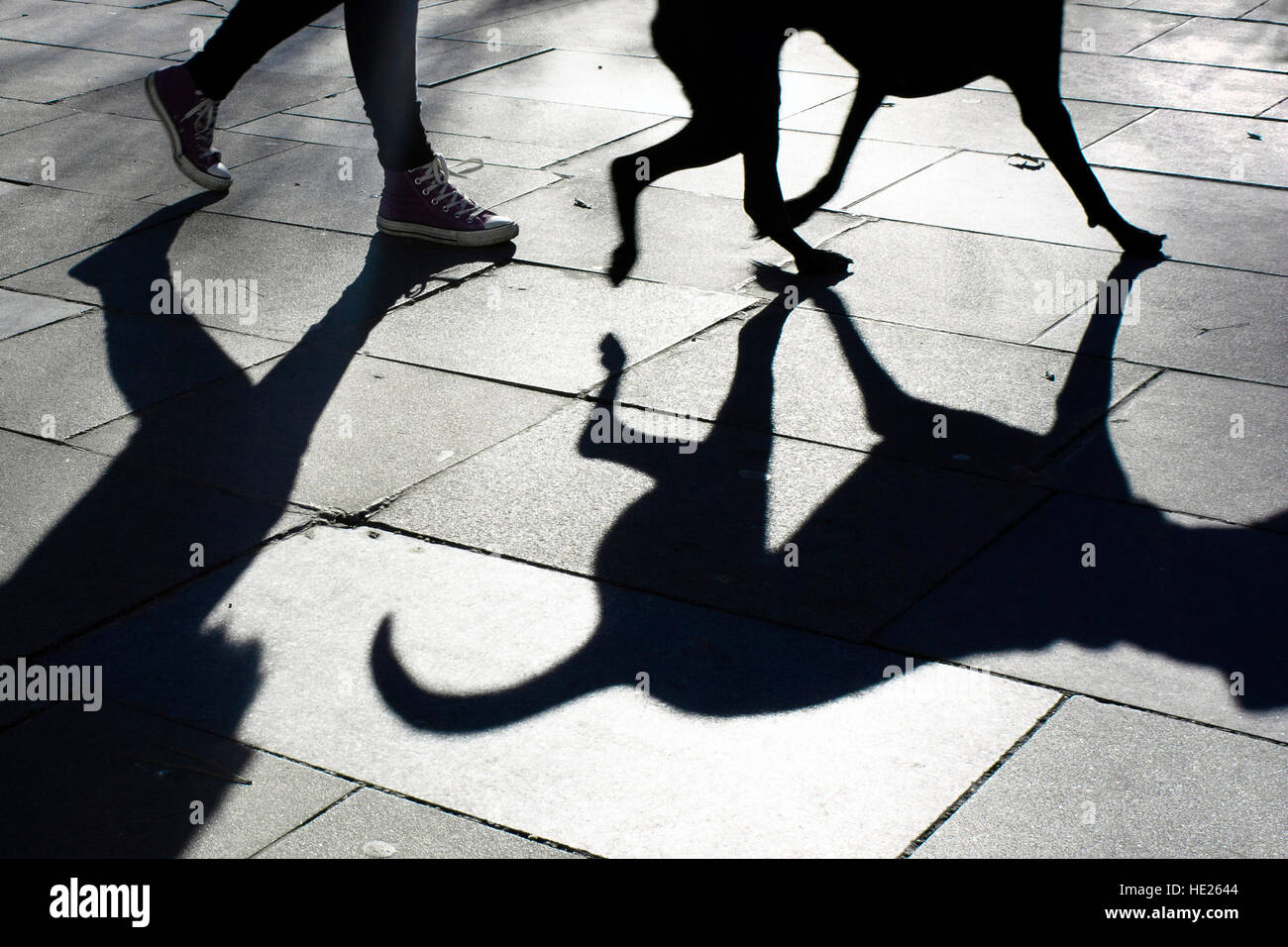 Schatten von einem Hund und seinem Besitzer ein Spaziergang in der Stadt Stockfoto