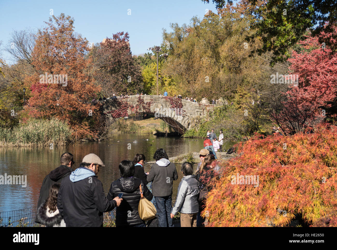 Der sonnenbeschienene teich hinter den bäumen Stockfotos und bilder