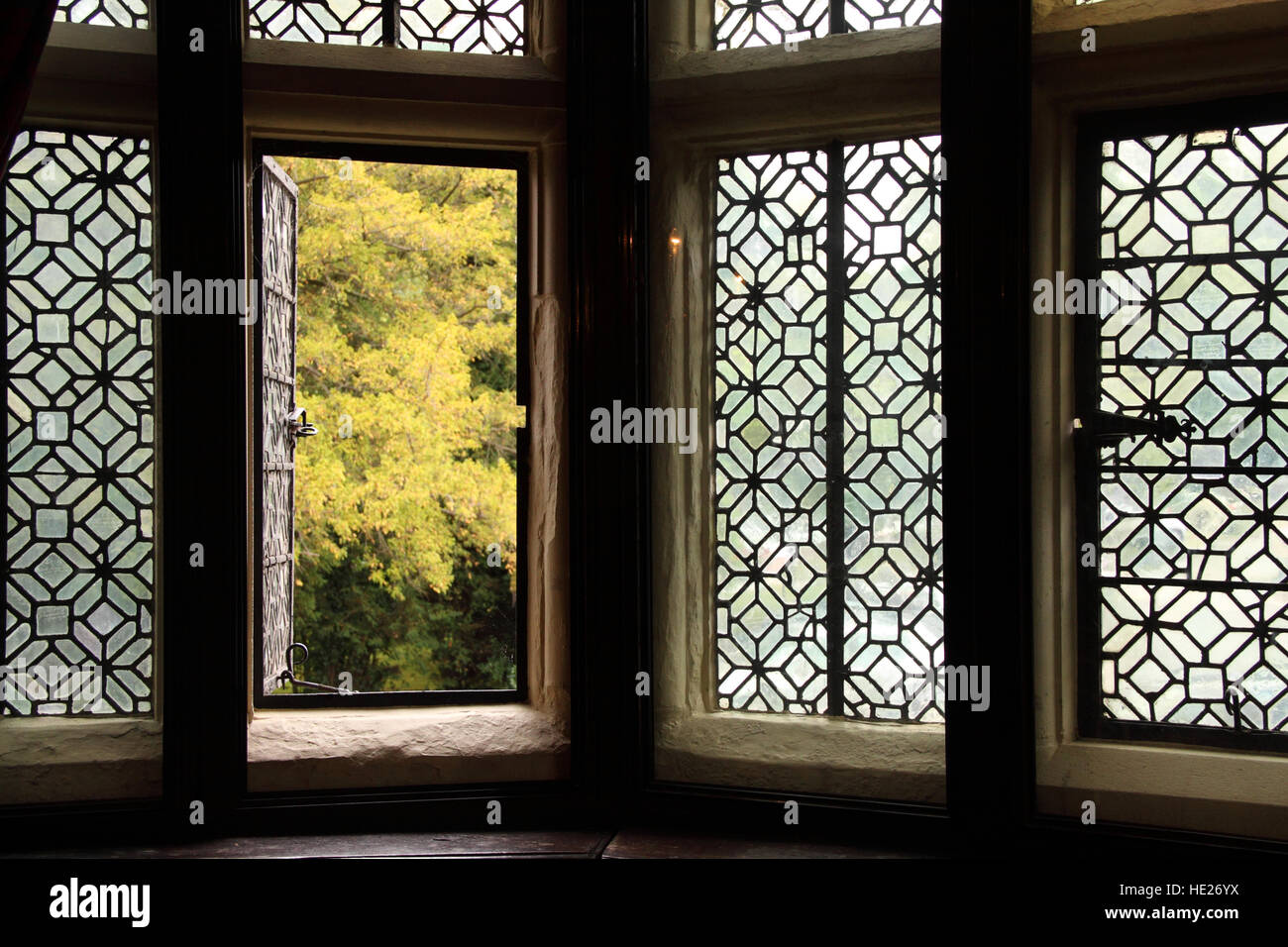 Bleiglasfenster gravierte mittelalterlichen in die große Kammer der neuen Halle Manor, jetzt Hotels in Sutton Coldfield. Stockfoto