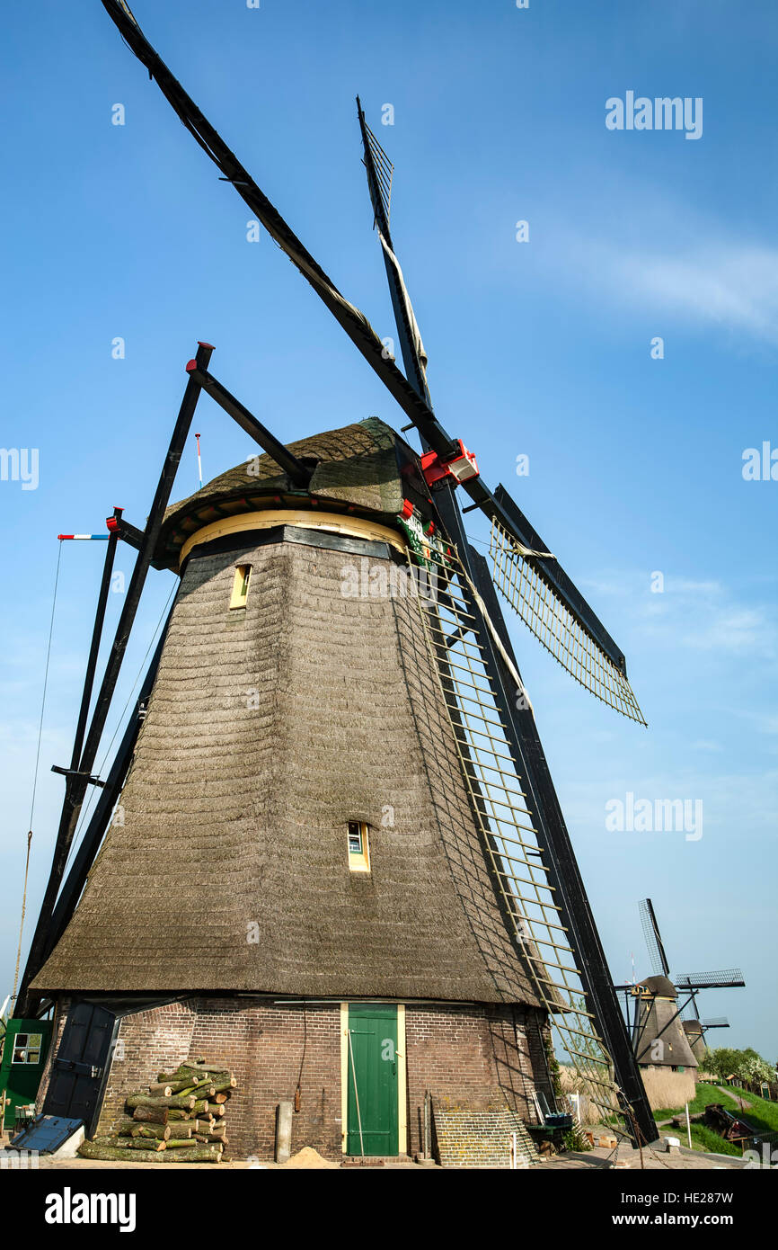 Windmühle, Kinderdijk (UNESCO Weltkulturerbe), Niederlande Stockfoto