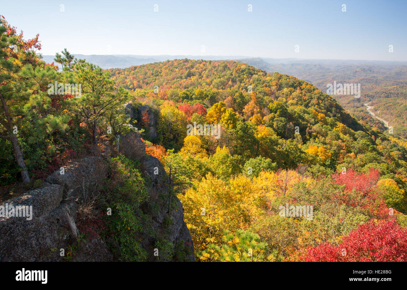 Anfang Herbst Farben bei hohen Felsen auf Pine Berg in Kentucky. Stockfoto