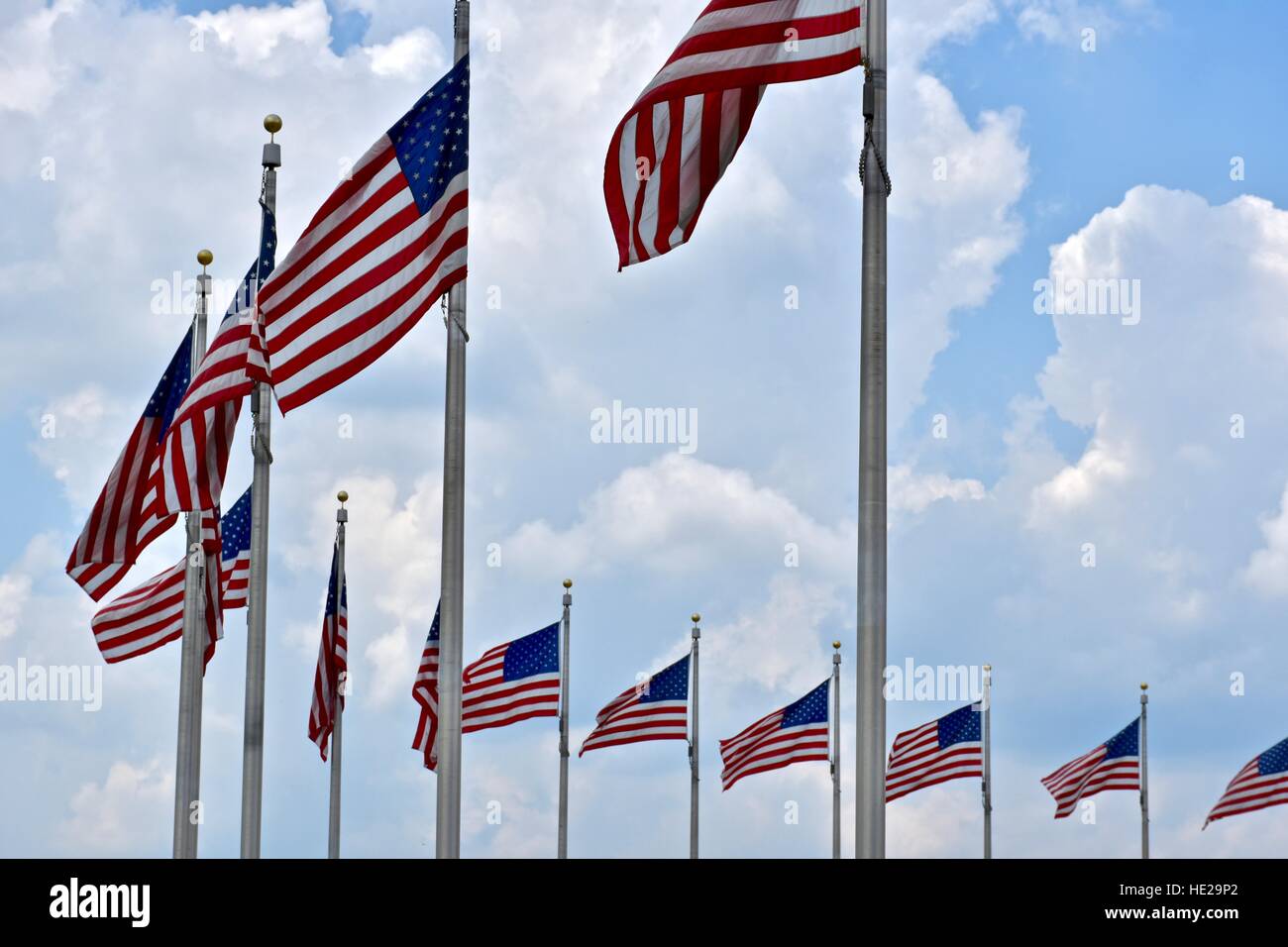 Amerikanische Fahnen schwenkten im Wind rund um das Washington Monument, Washington DC, USA Stockfoto