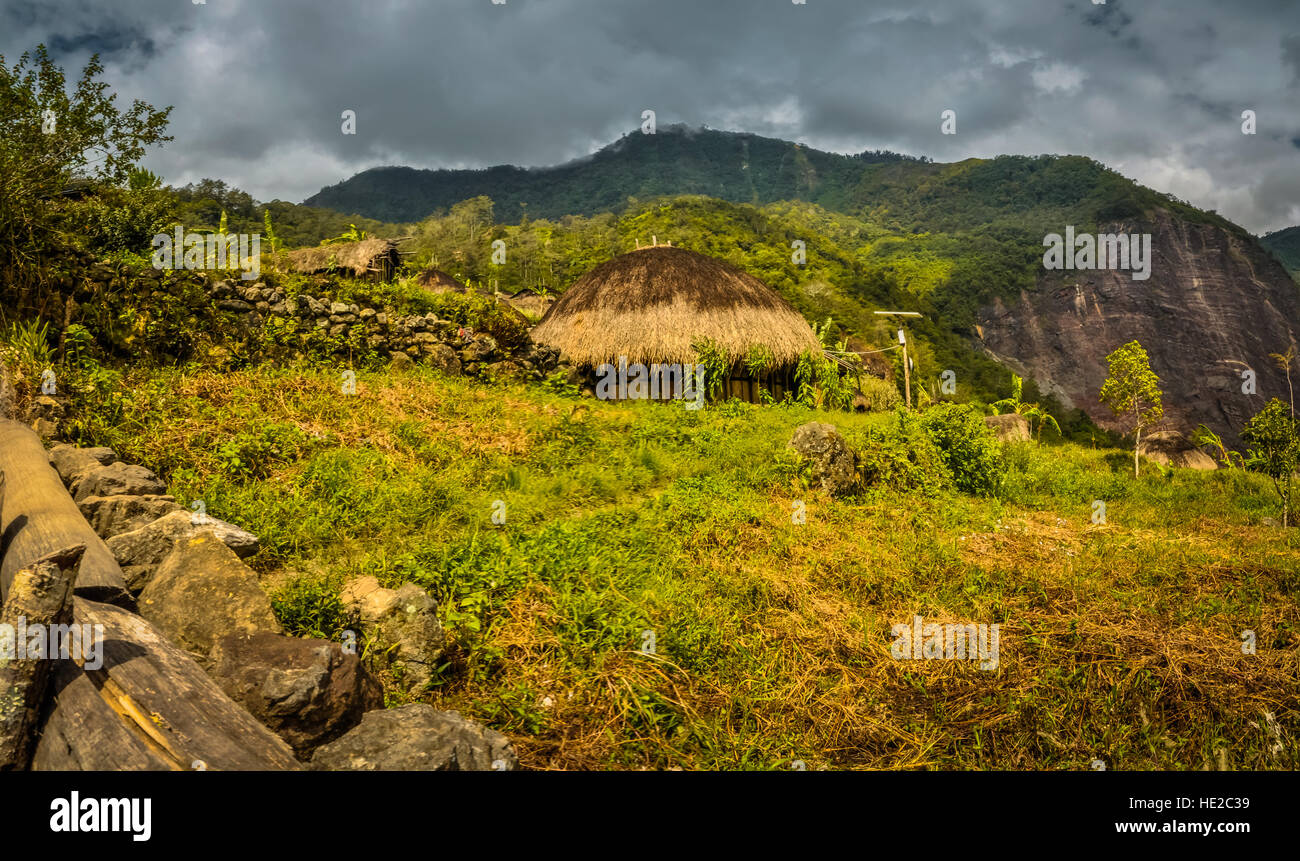 Foto von traditionelles Haus mit Strohdach, umgeben von viel Grün und Berge in Dani Schaltung in der Nähe von Wamena, Papua, Indonesien. Stockfoto