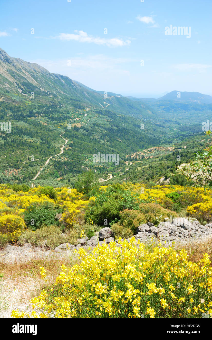 Grune Hugel Und Gelbe Blumen Bluhen Auf Der Insel Lefkada In Griechenland Stockfotografie Alamy